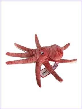 Douglas  Plush Octopus Spiney Stuffed Animal 12“ New w/Tag